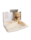 Teddy bear with flower box OURS DD BTE F/T / 99P8JE230JPE999